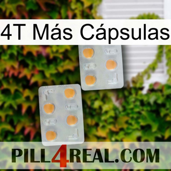 4T Más Cápsulas 25.jpg